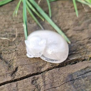 Cat Memorial Fur and Ash Keepsake, Eco Friendly Pet Bereavement Gift image 5