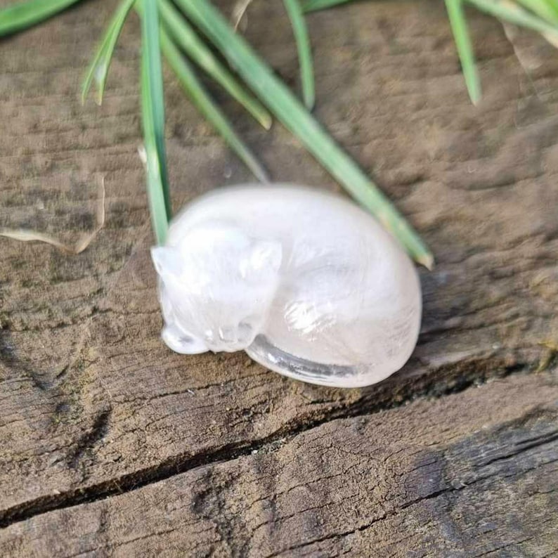Cat Memorial Fur and Ash Keepsake, Eco Friendly Pet Bereavement Gift image 5