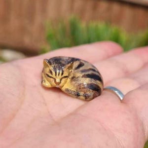 Cat Memorial Fur and Ash Keepsake, Eco Friendly Pet Bereavement Gift image 12