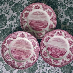 Può includere: Tre piatti rotondi in ceramica con un motivo a trasferimento rosa e bianco. Ogni piatto presenta un'illustrazione paesaggistica centrale di edifici e colline, circondata da un bordo decorativo di motivi floreali e volute sul bordo.