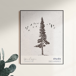 Grand sapin, Impression d’arbre, Français Affiche d’arbre, Botanique Français, Étude des arbres, Impression Français, Affiche d’arbres Français, Dessins d’arbres, Types d’arbres