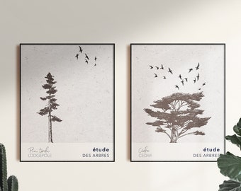 Tree Prints, Set Of 2, Tree Gift, Types Of Trees, French Tree Poster, Study of Trees, French Prints, Trees Poster, Tree Drawing