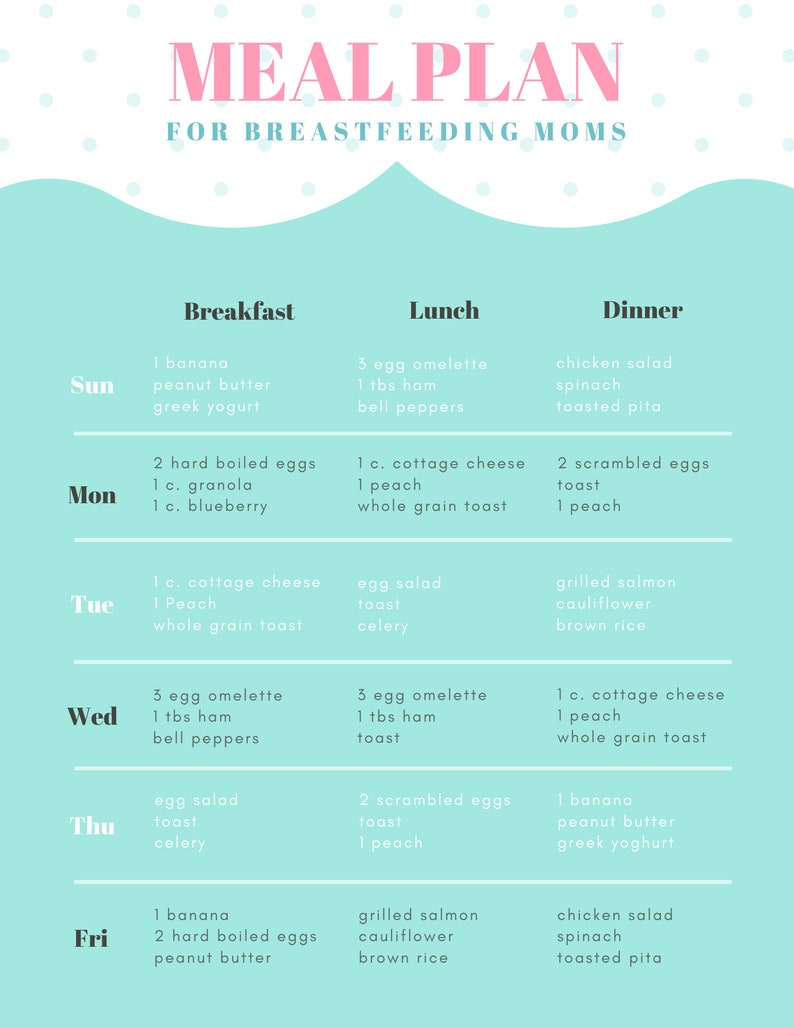 Breastfeeding Meal Plan - Etsy