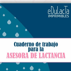 Cuaderno de trabajo para la asesora de lactancia materna
