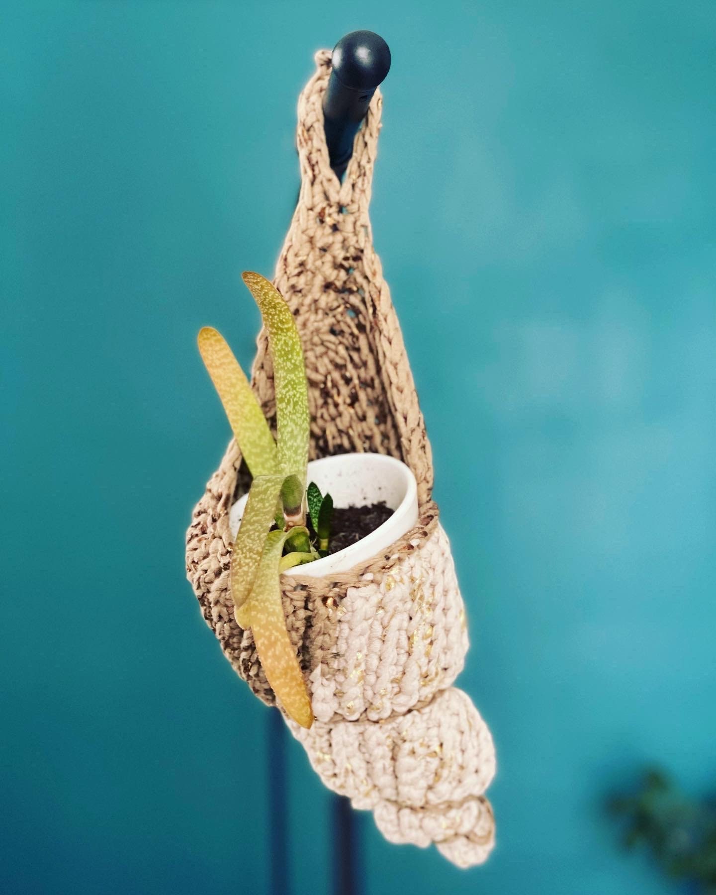 Suspension Coquillage