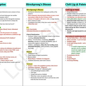 May include: A medical chart outlining information on intussusception, Hirschsprung's Disease, and Cleft Lip & Palate. The chart includes symptoms, diagnosis, treatment, and interventions for each condition.