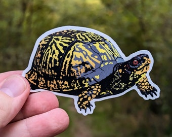 Eastern Box Turtle (Terrapene carolina carolina) Vinyl Decal