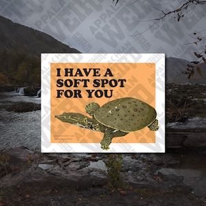 May include: A square print with an orange background featuring a Spiny Softshell Turtle illustration. The text "I HAVE A SOFT SPOT FOR YOU" is above the turtle. The turtle is green and brown.