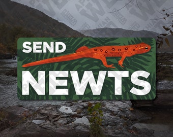 Send Newts Vinyl Decal