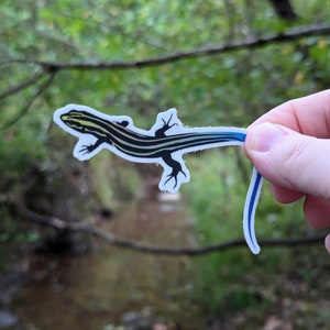 May include: A sticker of a black and yellow striped lizard with a blue tail.