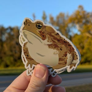 May include: A die-cut sticker featuring a detailed illustration of a brown toad with a cream-colored belly, textured skin, and dark brown spots. The toad is depicted in a seated position with a neutral expression, rendered in a graphic art style.