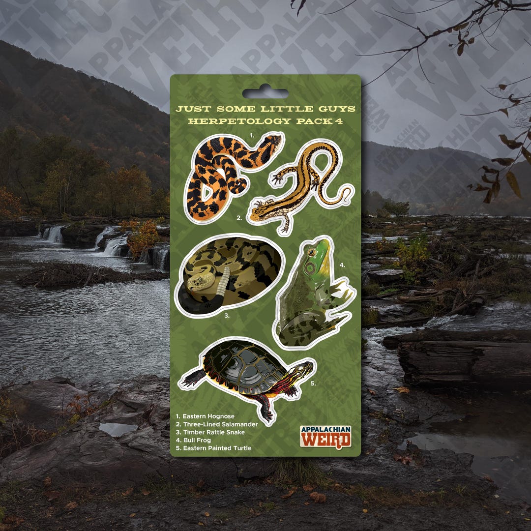 Just Some Little Guys Herpetology Mini Decal Pack 4 - Etsy