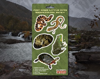 May include: A green card featuring illustrations of five different animals: an eastern hognose snake, a three-lined salamander, a timber rattlesnake, a bullfrog, and an eastern painted turtle. The card has the text "Just Some Little Guys Herpetology Pack 4" and "Appalachian Weird".