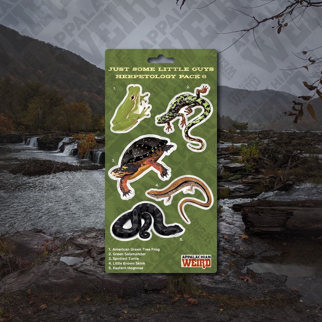 Just Some Little Guys Herpetology Mini Decal Pack 6 - Etsy