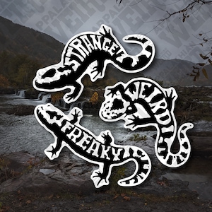 Strange, Weird, & Freaky Marbled Salamander (Ambystoma opacum) Vinyl Decals