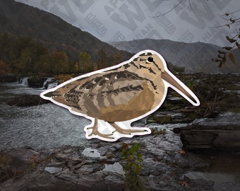 American Woodcock (Scolopax minor) Vinyl Decal