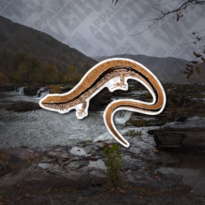 Little Brown Skink (Scincella lateralis) Vinyl Decal