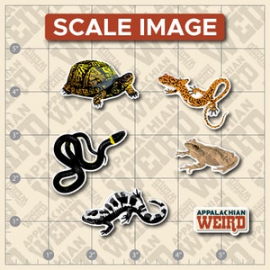 May include: Four colorful stickers featuring different animals native to the Appalachian region. The stickers include a black snake, a brown frog, a yellow and black turtle, and a red and yellow salamander. The stickers are all on a white background with a grid pattern. The text "Appalachian Weird" is also included on the sticker sheet.