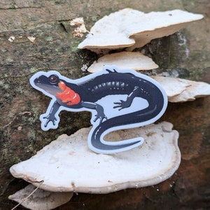 May include: A black and red salamander sticker on a white mushroom background.