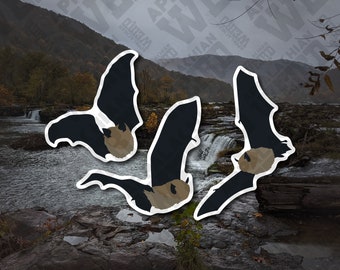 Little Brown Bats Vinyl Decal