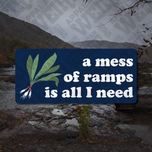 A Mess Of Ramps Is All I Need Vinyl Decal