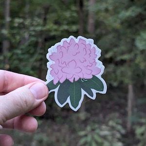 Great Rhododendron (Rhododendron maximum) Vinyl Decal