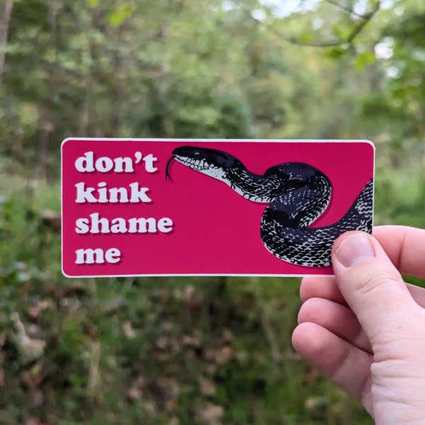 Don't Kink Shame Me Vinyl Decal