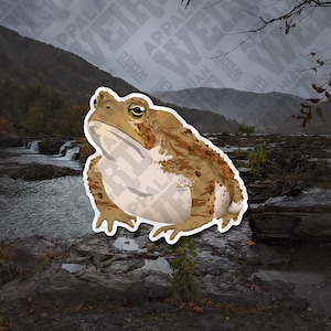 May include: A brown and tan toad with large, dark eyes. The toad is sitting on a rock with a waterfall in the background.