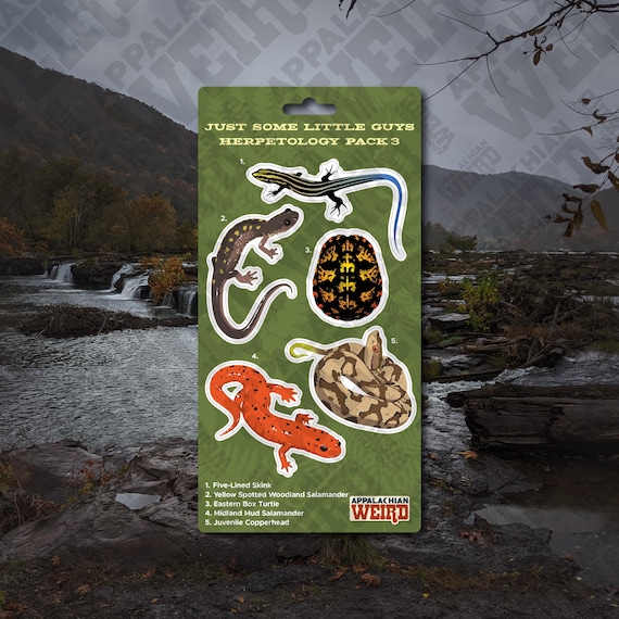 Just Some Little Guys Herpetology Mini Decal Pack 3