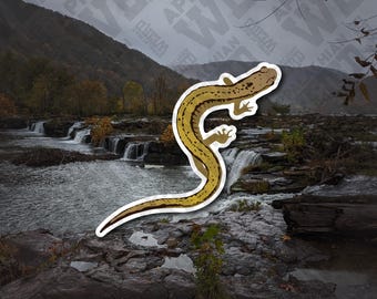 Two-Lined Salamander Vinyl Decal