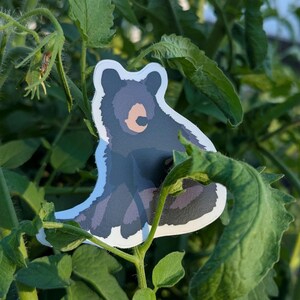 Black Bear Vinyl Decal afbeelding 4