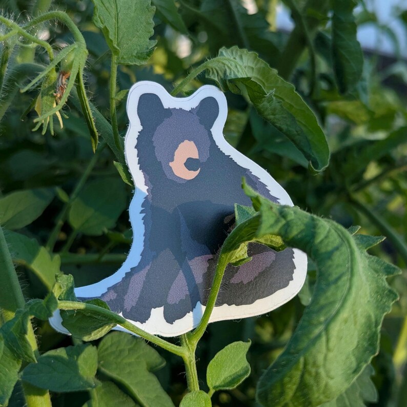 Black Bear Vinyl Decal afbeelding 4