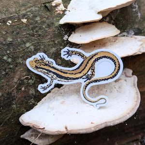 May include: A close-up of a brown and yellow salamander sticker on a white mushroom-shaped background.