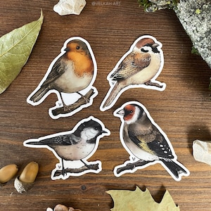 Bird stickers