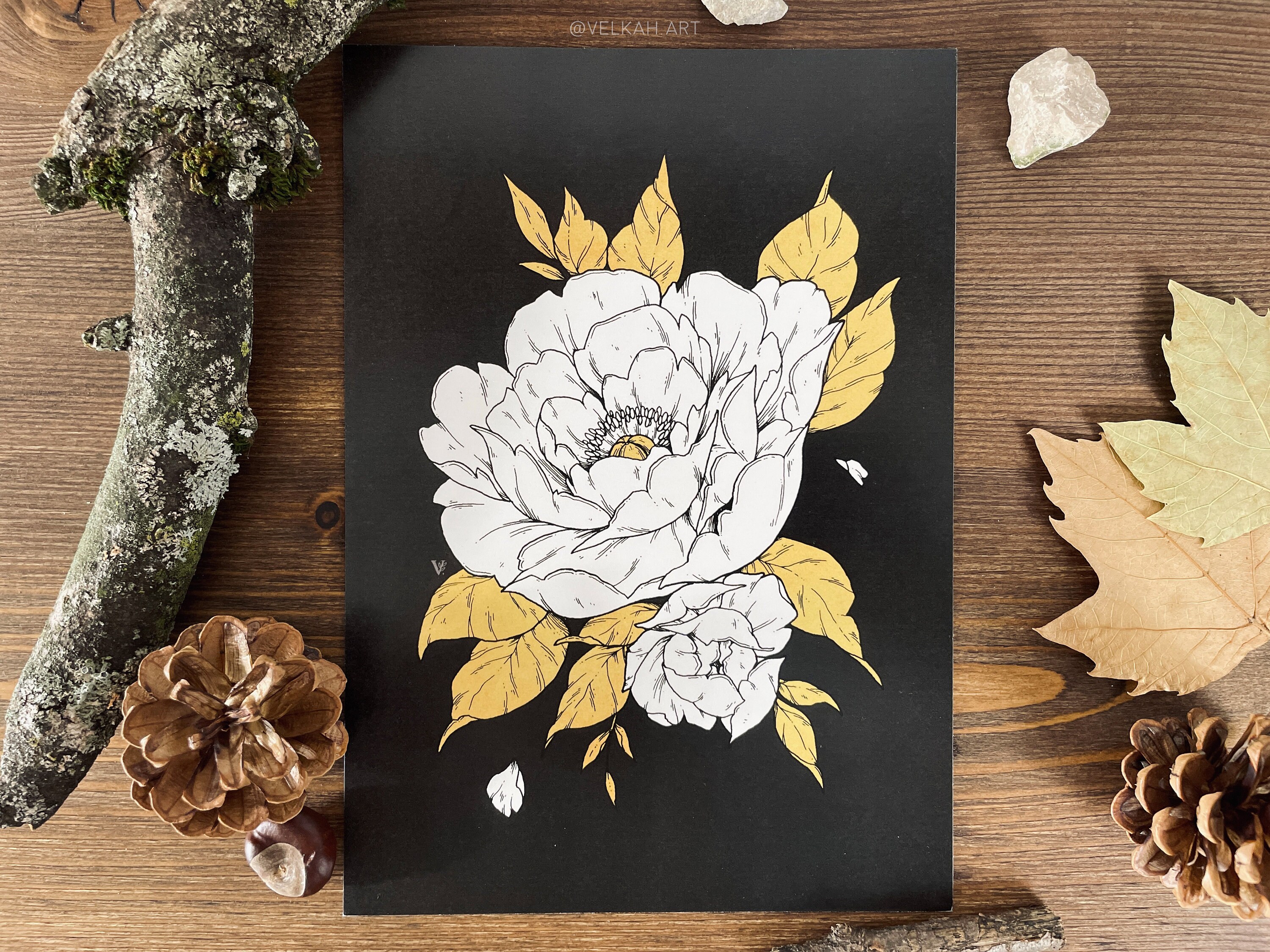 Peony A5 Illustration Print