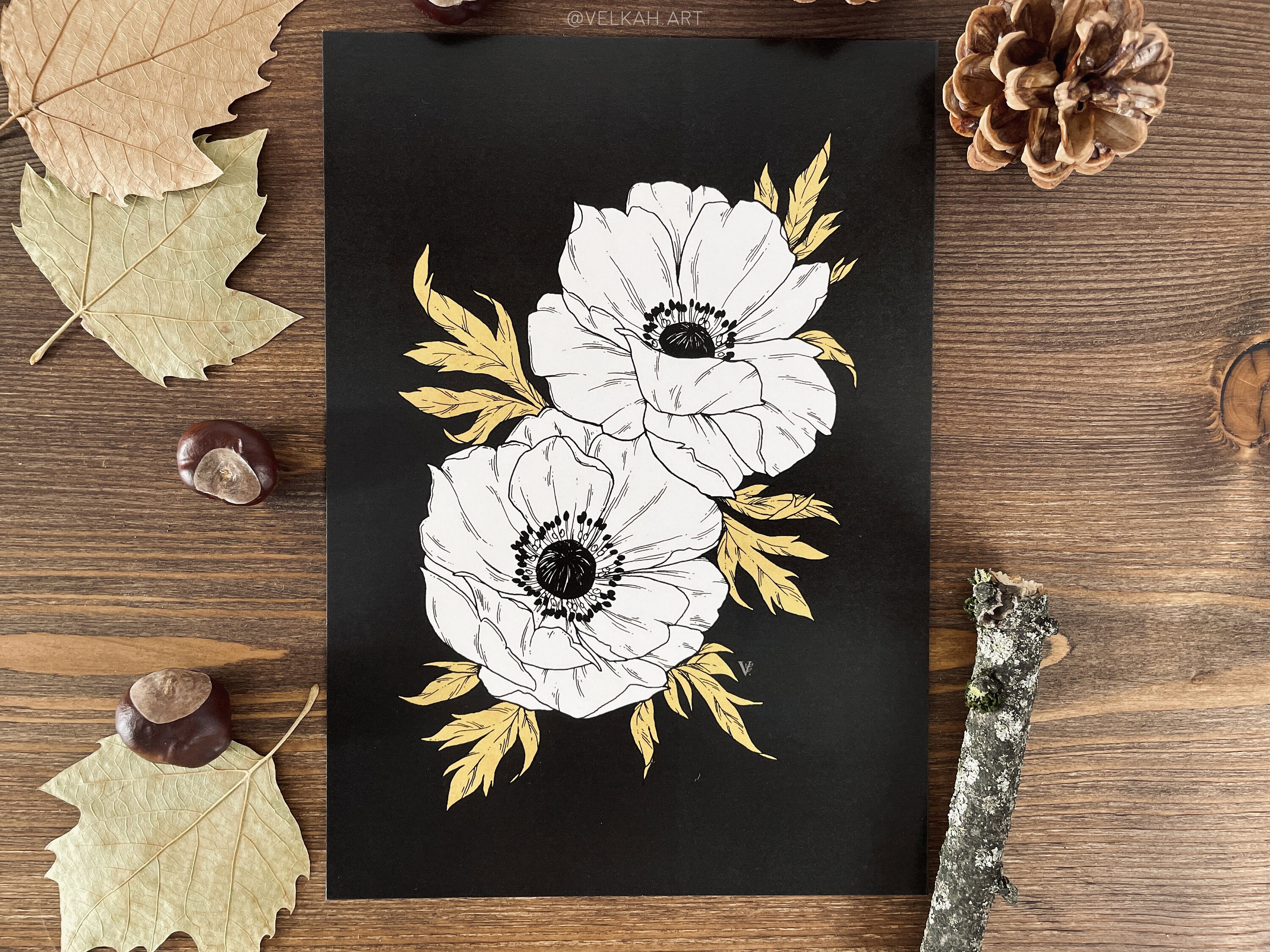 Anemones A5 Illustration Print