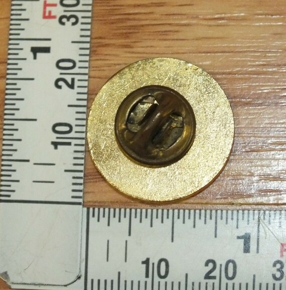 Vintage AJPHA American Junior Paint Horse Association… Gem