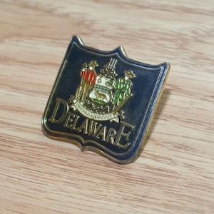 Vintage Emaille Delaware Sammlerstück Reise Souvenir Anstecknadel
