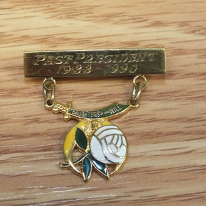 Vintage Past President 1988-1990 Daughters of the Nile Collectible Pin Lapel