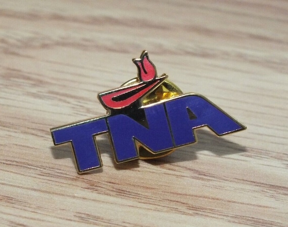 Purple & Gold Tone Tennessee Nurses Association Collectible Medical Souvenir Pin