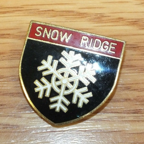 Vintage Snow Ridge Turin New York Sammelobjekt Souvenir Anstecker Anstecker