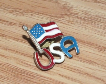Vintage Horseshoe Style Letters USA American Flag Collectible Lapel Pin