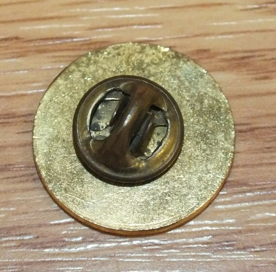 Vintage AJPHA American Junior Paint Horse Association… Gem