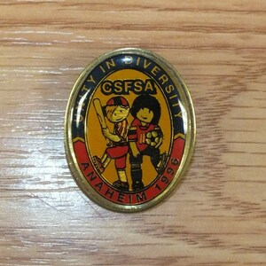 Vintage 1996 CSFSA Unity in Diversity Anaheim Collectible Pin / Lapel