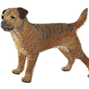 Könnte beinhalten: Gestickter Aufnäher eines braunen und lohfarbenen Border Terriers, der mit dem Kopf nach links gedreht steht. Der Hund steht auf einem weißen Hintergrund.