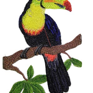 Patch de costura/ferro bordado de tucano com bico de quilha [5,25" X 4"]