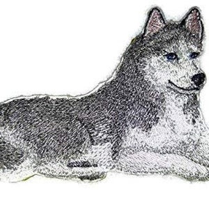 May include: Embroidered patch of a gray and white husky dog lying down with blue eyes.