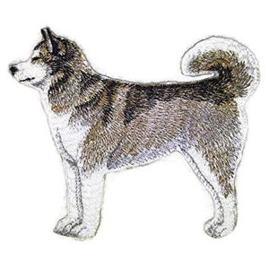 Puede incluir: Parche bordado de un perro Alaskan Malamute gris y blanco de pie con la cola enroscada. El perro está mirando hacia la izquierda y tiene la nariz negra y los ojos marrones.