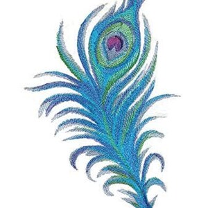 以下が含まれることがあります： 青い緑の孔雀の羽根で、目の模様が細かく描かれています