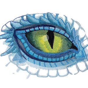 May include: A close-up of a blue and green dragon eye with a black pupil. The eye is surrounded by blue scales and a white background.